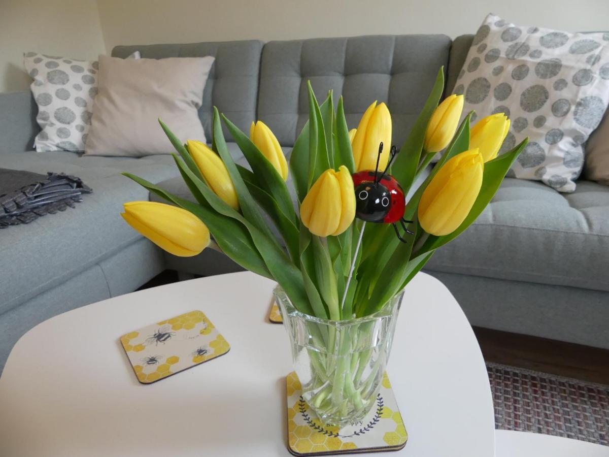 Ferienwohnung Suenteltraum ハーメルン エクステリア 写真