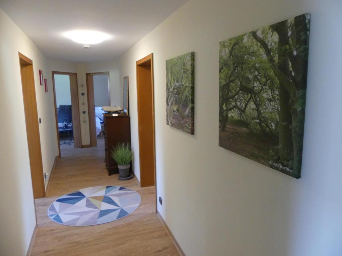 Ferienwohnung Suenteltraum ハーメルン エクステリア 写真